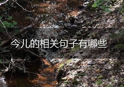 今儿的相关句子有哪些