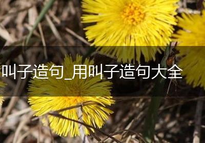 叫子造句_用叫子造句大全