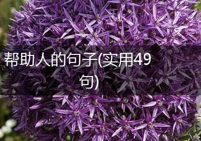 帮助人的句子(实用49句)
