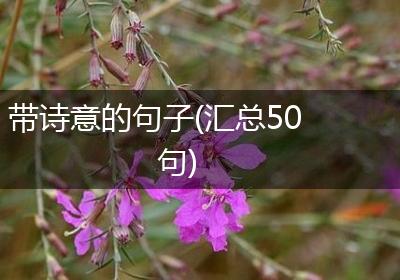 带诗意的句子(汇总50句)
