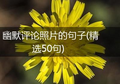 幽默评论照片的句子(精选50句)