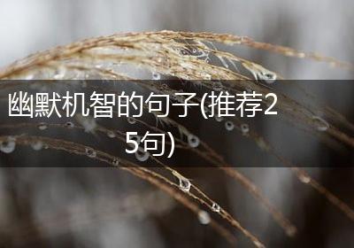 幽默机智的句子(推荐25句)