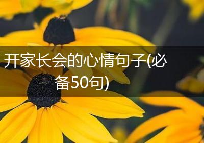 开家长会的心情句子(必备50句)