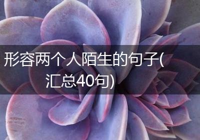 形容两个人陌生的句子(汇总40句)