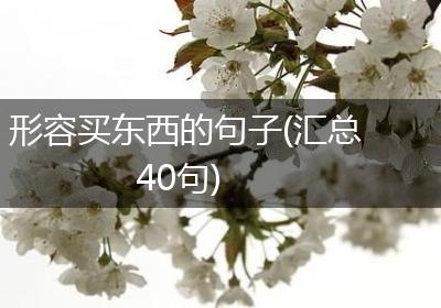 形容买东西的句子(汇总40句)