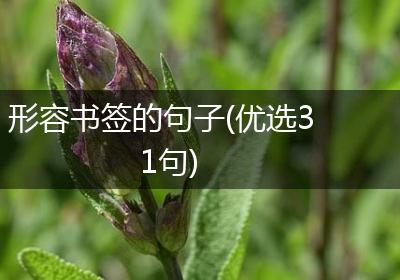 形容书签的句子(优选31句)