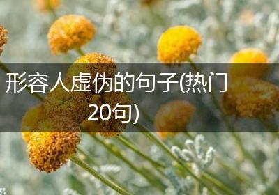 形容人虚伪的句子(热门20句)