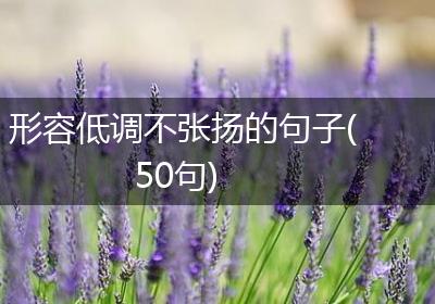 形容低调不张扬的句子(50句)