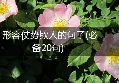 形容仗势欺人的句子(必备20句)