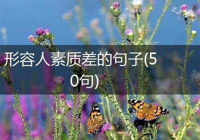 形容人素质差的句子(50句)