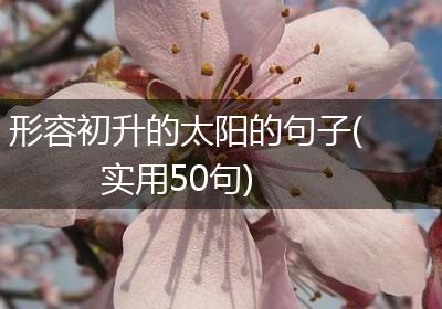 形容初升的太阳的句子(实用50句)