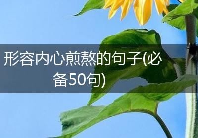 形容内心煎熬的句子(必备50句)