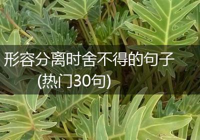 形容分离时舍不得的句子(热门30句)