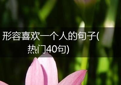 形容喜欢一个人的句子(热门40句)