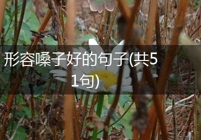 形容嗓子好的句子(共51句)