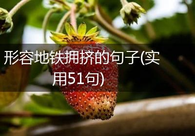 形容地铁拥挤的句子(实用51句)