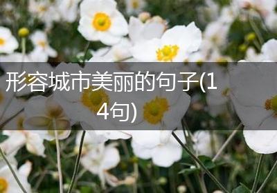 形容城市美丽的句子(14句)