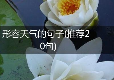 形容天气的句子(推荐20句)
