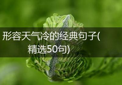 形容天气冷的经典句子(精选50句)