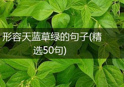 形容天蓝草绿的句子(精选50句)
