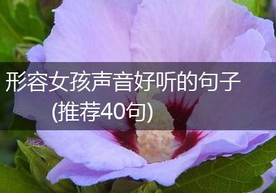 形容女孩声音好听的句子(推荐40句)