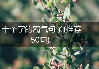 十个字的霸气句子(推荐50句)