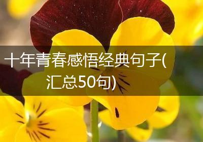 十年青春感悟经典句子(汇总50句)