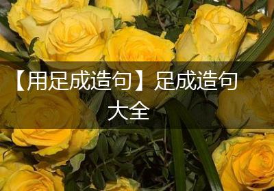 【用足成造句】足成造句大全