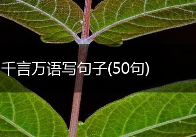千言万语写句子(50句)