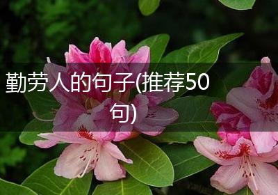 勤劳人的句子(推荐50句)