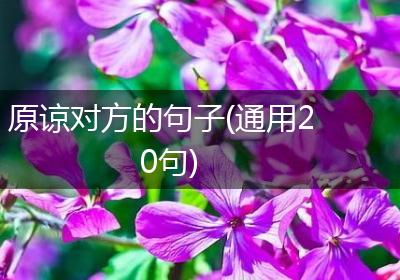 原谅对方的句子(通用20句)