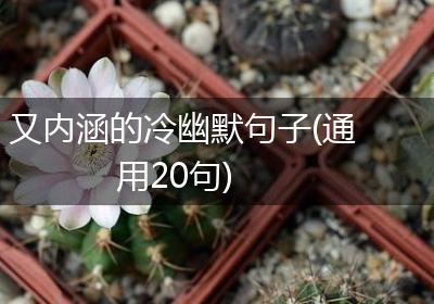 又内涵的冷幽默句子(通用20句)