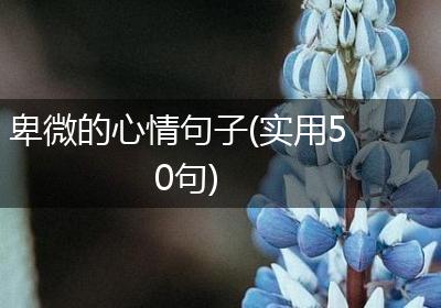 卑微的心情句子(实用50句)