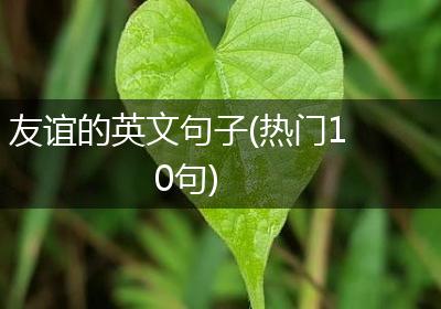 友谊的英文句子(热门10句)
