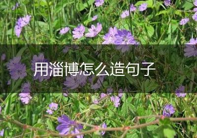 用淄博怎么造句子