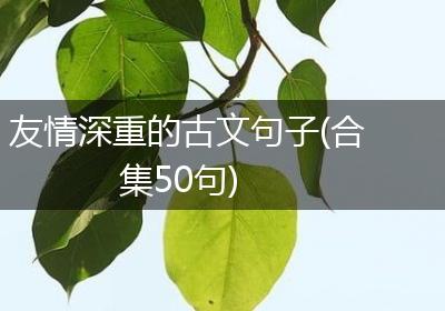 友情深重的古文句子(合集50句)