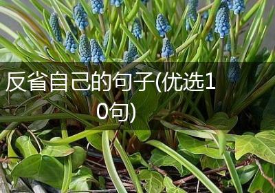 反省自己的句子(优选10句)
