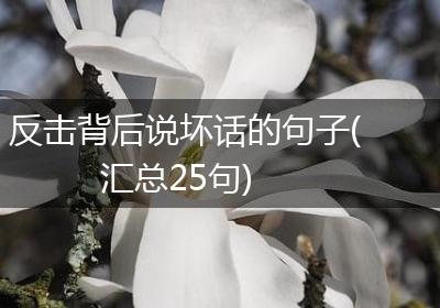 反击背后说坏话的句子(汇总25句)