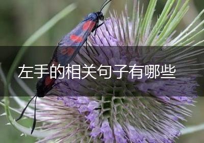 左手的相关句子有哪些