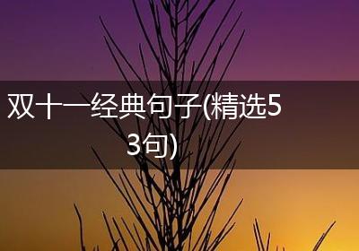 双十一经典句子(精选53句)