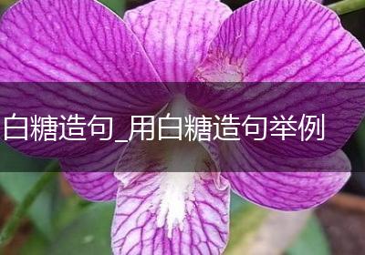 白糖造句_用白糖造句举例