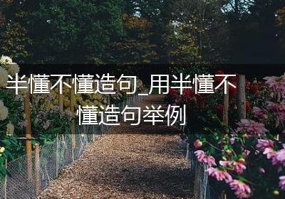 半懂不懂造句_用半懂不懂造句举例