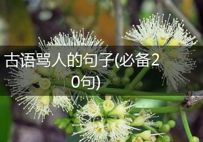 古语骂人的句子(必备20句)