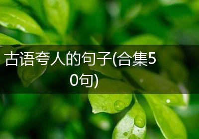 古语夸人的句子(合集50句)