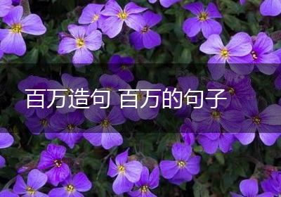 百万造句 百万的句子