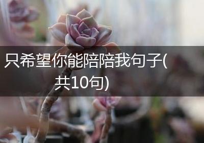 只希望你能陪陪我句子(共10句)