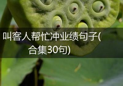 叫客人帮忙冲业绩句子(合集30句)