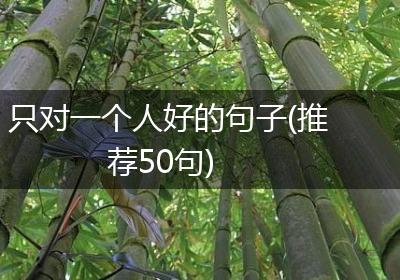 只对一个人好的句子(推荐50句)
