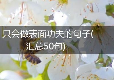 只会做表面功夫的句子(汇总50句)