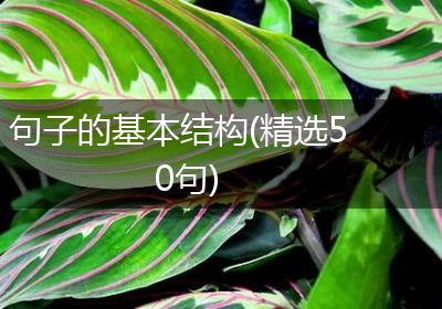 句子的基本结构(精选50句)